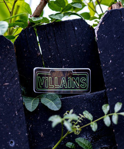 BV305 Stickers